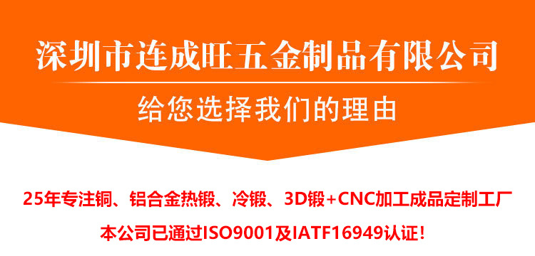 机械设备泵体锻造件(图1)