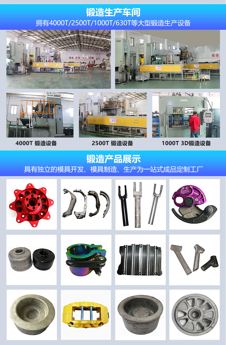 电动自行车爪勾锻造件(图2)